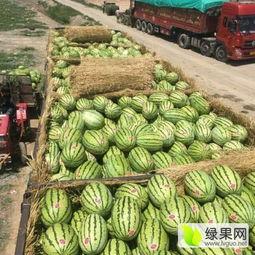 青海浪山今日吃瓜爆料