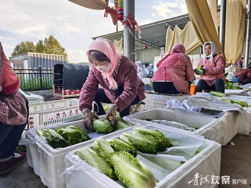 青海浪山今日吃瓜爆料